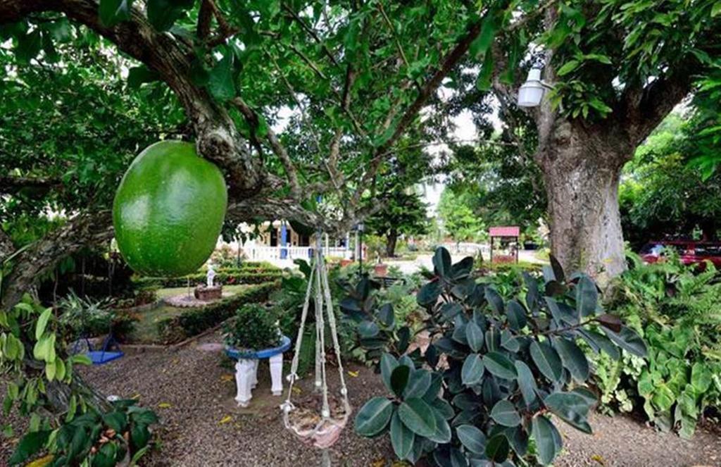Albergue Sana El Jardin Secreto Santiago De Los Caballeros Exterior foto